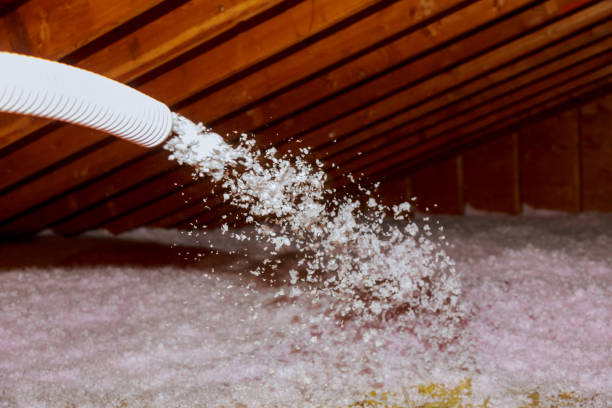 Best Commercial Insulation in Collinwood, TN