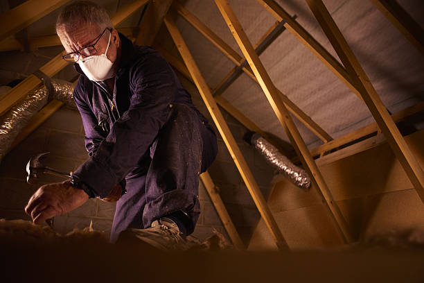 Best Specialty Insulation in Collinwood, TN